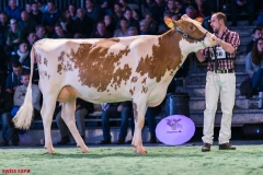 DSC09102-2 DSC09102-2