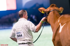 DSC09105-2 DSC09105-2