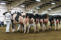 DSC01136-2 DSC01136-2