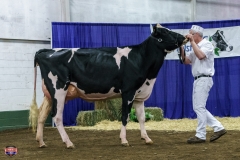 DSC01162-2 DSC01162-2