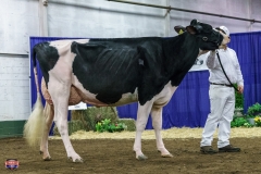 DSC01218-2 DSC01218-2