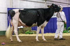 DSC01218-2 DSC01218-2