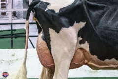 DSC01280-2 DSC01280-2