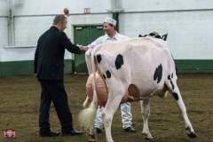 DSC01322-2 DSC01322-2