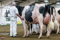 DSC01412-2 DSC01412-2