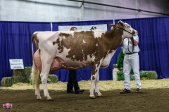 DSC01435-2 DSC01435-2