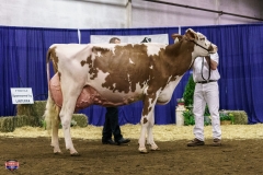 DSC01435-2 DSC01435-2