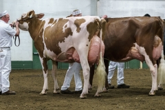 DSC01459-2 DSC01459-2