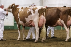 DSC01459-2 DSC01459-2