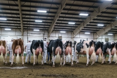 DSC01475-2 DSC01475-2