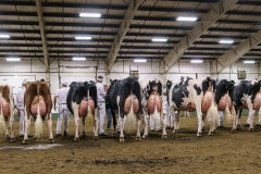 DSC01475-2 DSC01475-2