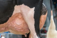 DSC07008-2 DSC07008-2