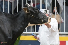 DSC07022-2 DSC07022-2