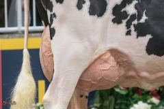 DSC07024-2 DSC07024-2