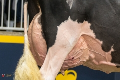 DSC07027-2 DSC07027-2