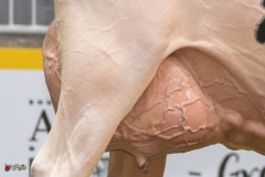 DSC06947-2 DSC06947-2