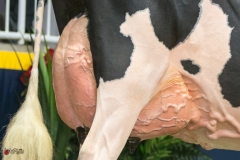 DSC06948-2 DSC06948-2