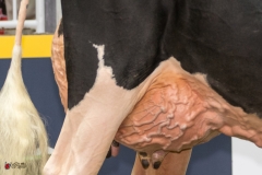 DSC06953-2 DSC06953-2