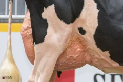 DSC06954-2 DSC06954-2