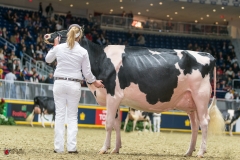 DSC06691-Edit DSC06691-Edit