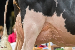 DSC06704-2 DSC06704-2