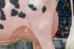 DSC06467-2 DSC06467-2