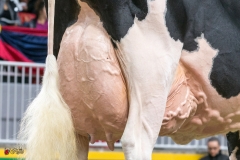 DSC07077-2 DSC07077-2