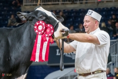 DSC07084-2 DSC07084-2