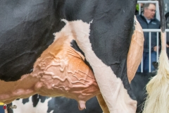 DSC07090-2 DSC07090-2