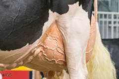 DSC07095-2 DSC07095-2