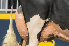 DSC06775-2 DSC06775-2