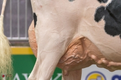 DSC06783-2 DSC06783-2