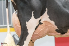 DSC06795-2 DSC06795-2