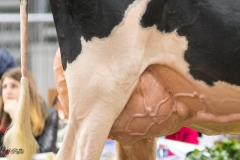 DSC06802-2 DSC06802-2