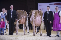 DSC07878-2 DSC07878-2