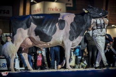 DSC06628-2 DSC06628-2