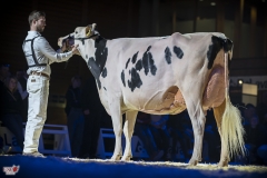 DSC06673-2 DSC06673-2