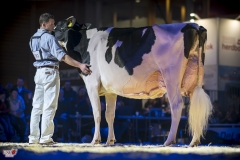 DSC06676-2 DSC06676-2