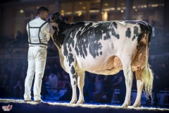 DSC06692-2 DSC06692-2