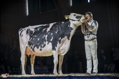 DSC06704-2 DSC06704-2