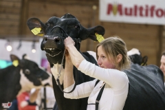 DSC02100-2 DSC02100-2