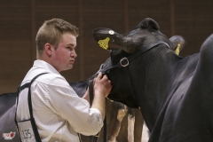 DSC02104-2 DSC02104-2