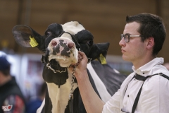 DSC02110-2 DSC02110-2