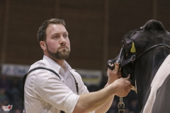 DSC02112-2 DSC02112-2