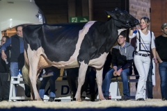 DSC06790-2 DSC06790-2