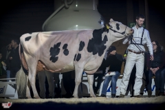 DSC06800-2 DSC06800-2