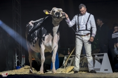 DSC06823-2 DSC06823-2