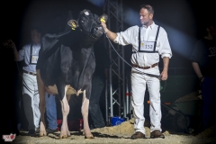 DSC06861-2 DSC06861-2