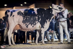 DSC06903-2 DSC06903-2