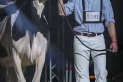 DSC06907-2 DSC06907-2